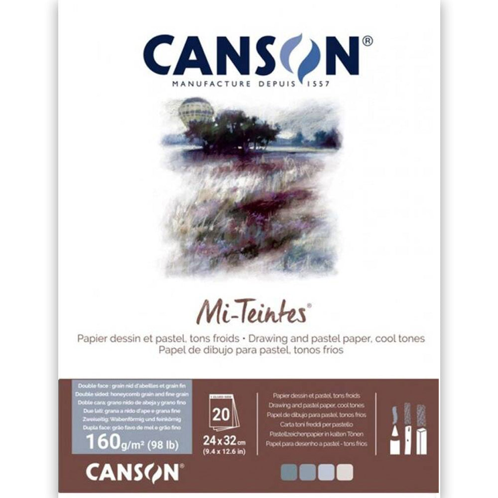 Canson Mi-Tientes Pad 160gr Grey/Blue Tones 24x32cm 20 Sayfa