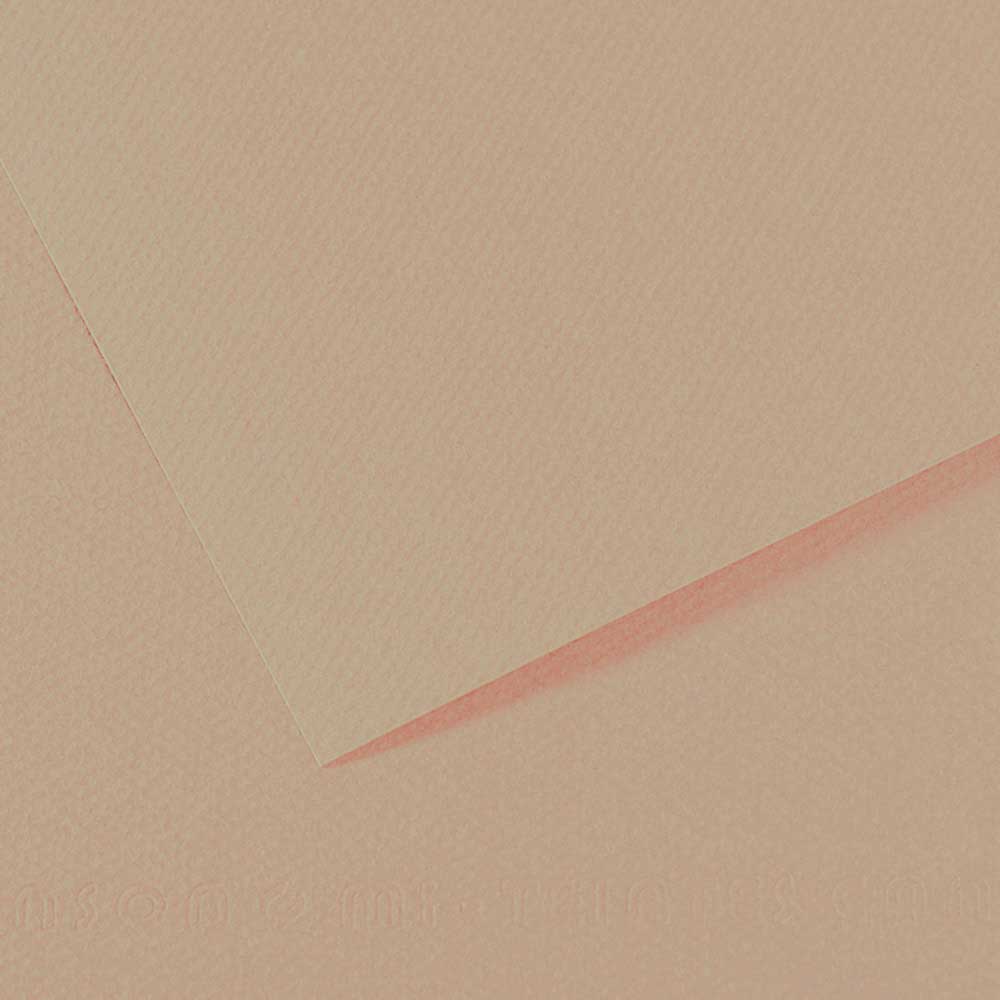 Canson Mi-Teintes 160gr 50x65cm Trianon Grey