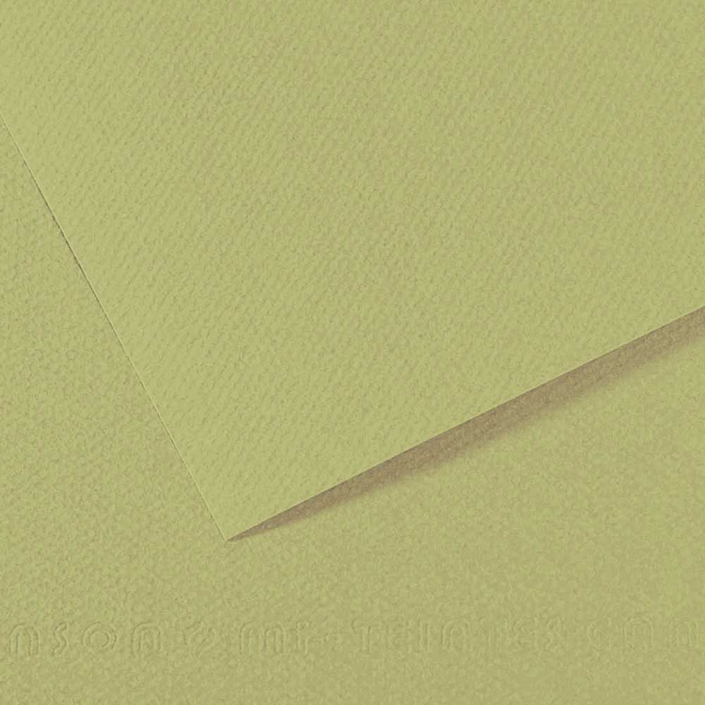 Canson Mi-Teintes 160gr 50x65cm Almond Green