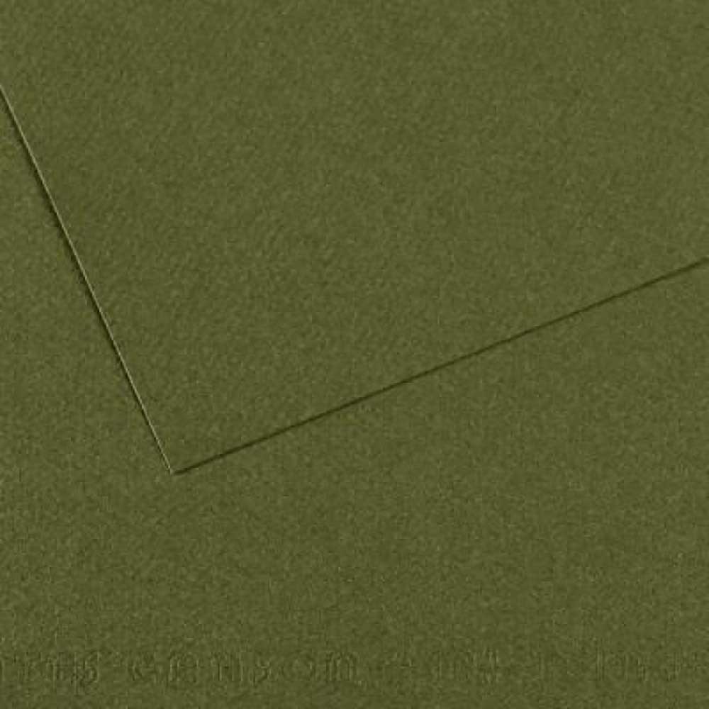 Canson Mi-Teintes 160gr 50x65cm Sea Green