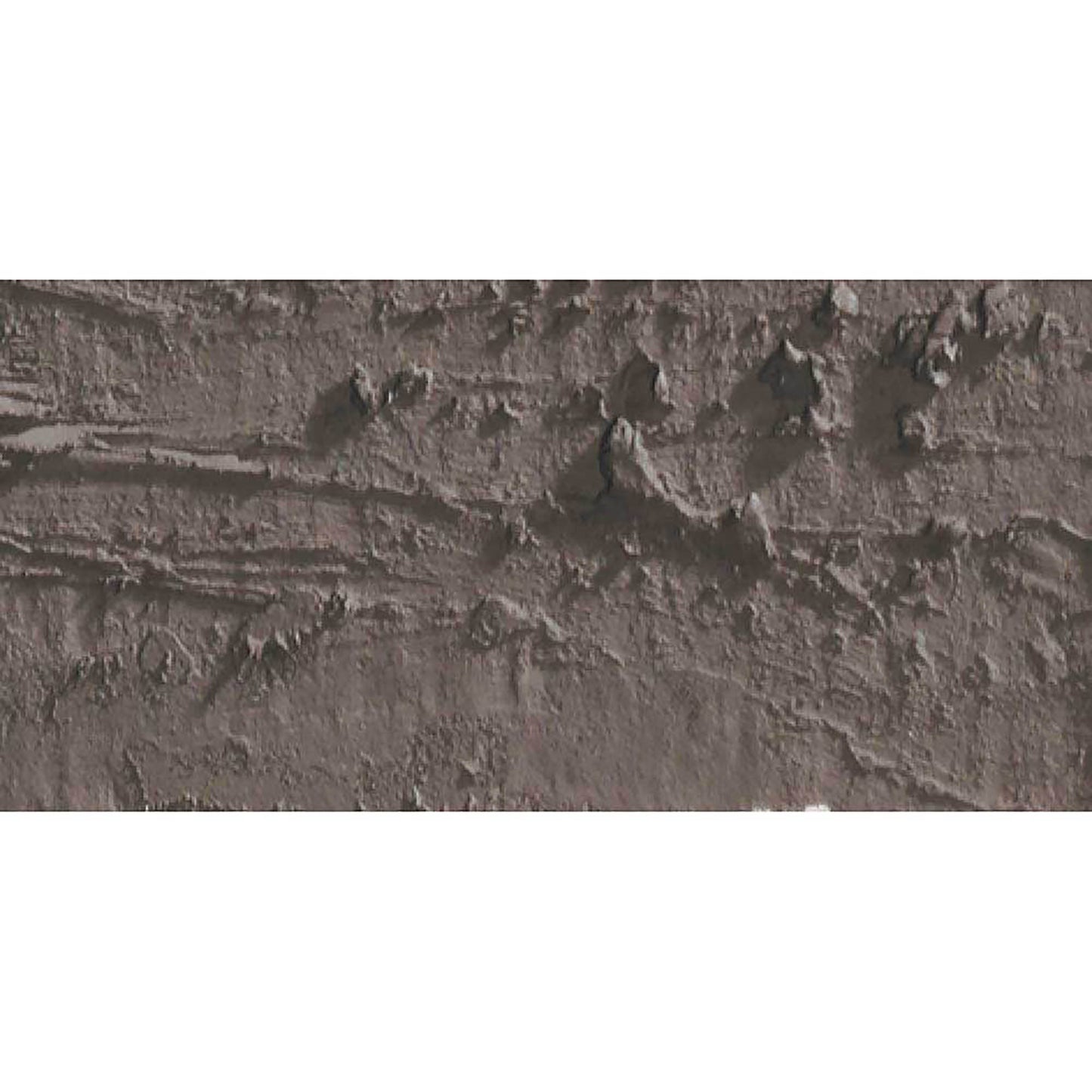 Caran d'Ache Neopastel Vandycke Brown 045
