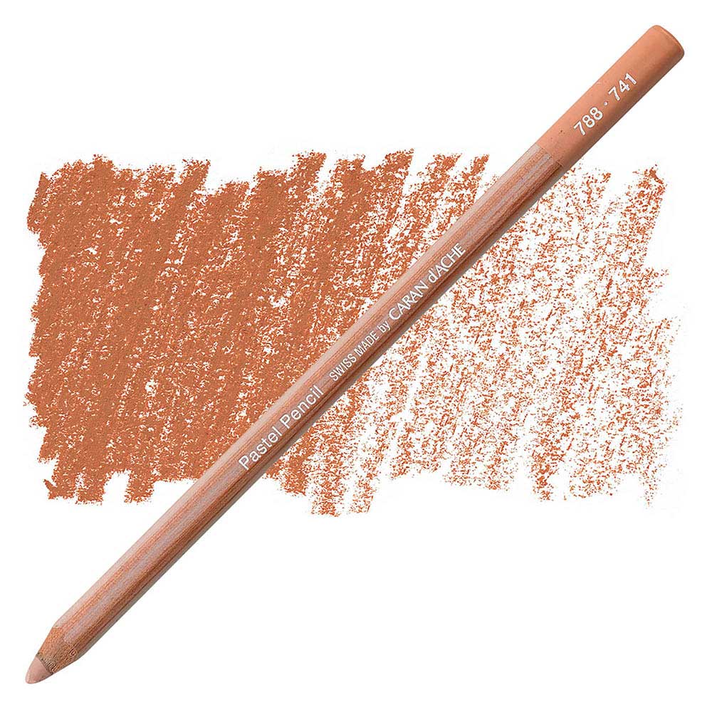 Caran d'Ache Pastel Pencil Warm Earth 5% (Dark Flesh) 741