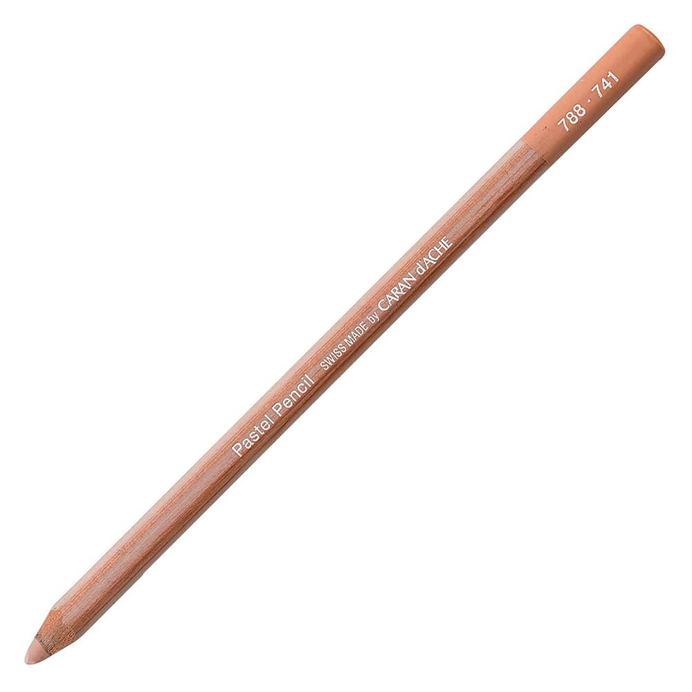 Caran d'Ache Pastel Pencil Warm Earth 5% (Dark Flesh) 741