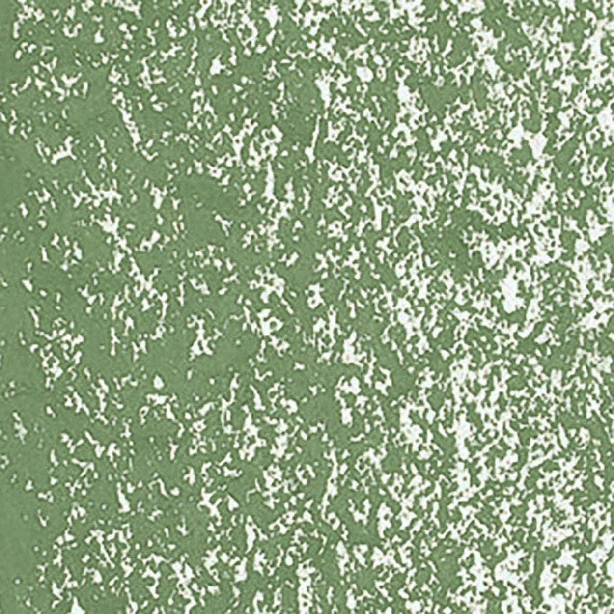 Caran d'Ache Neoart 6901 Moss Green 225