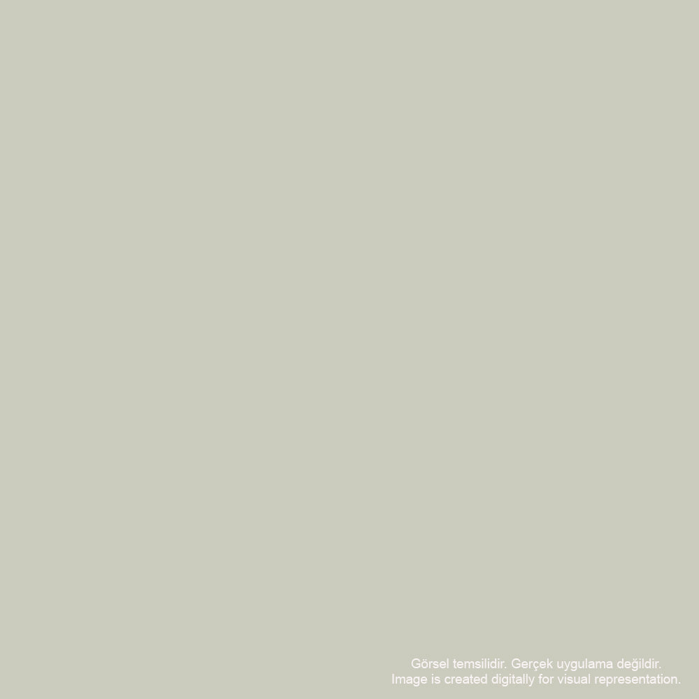 Caran d'Ache 8021 Ink Cartridges Chromatics Infinite Grey