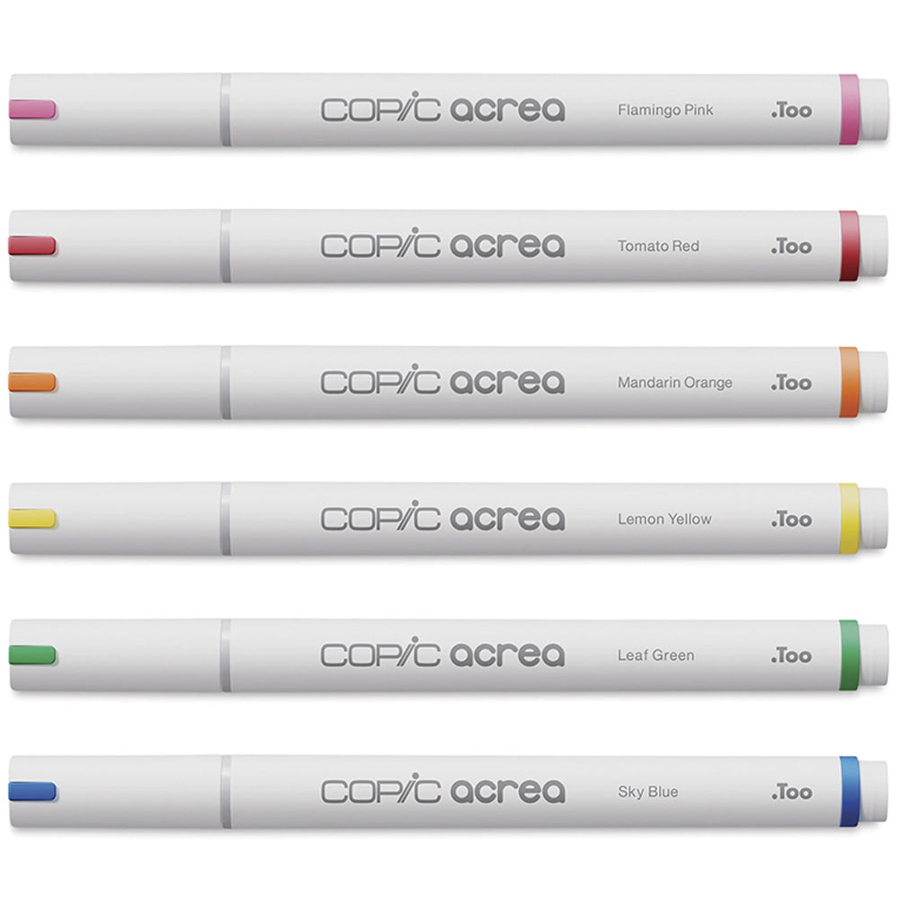 Copic Acrea Marker 6'lı Set Vivid
