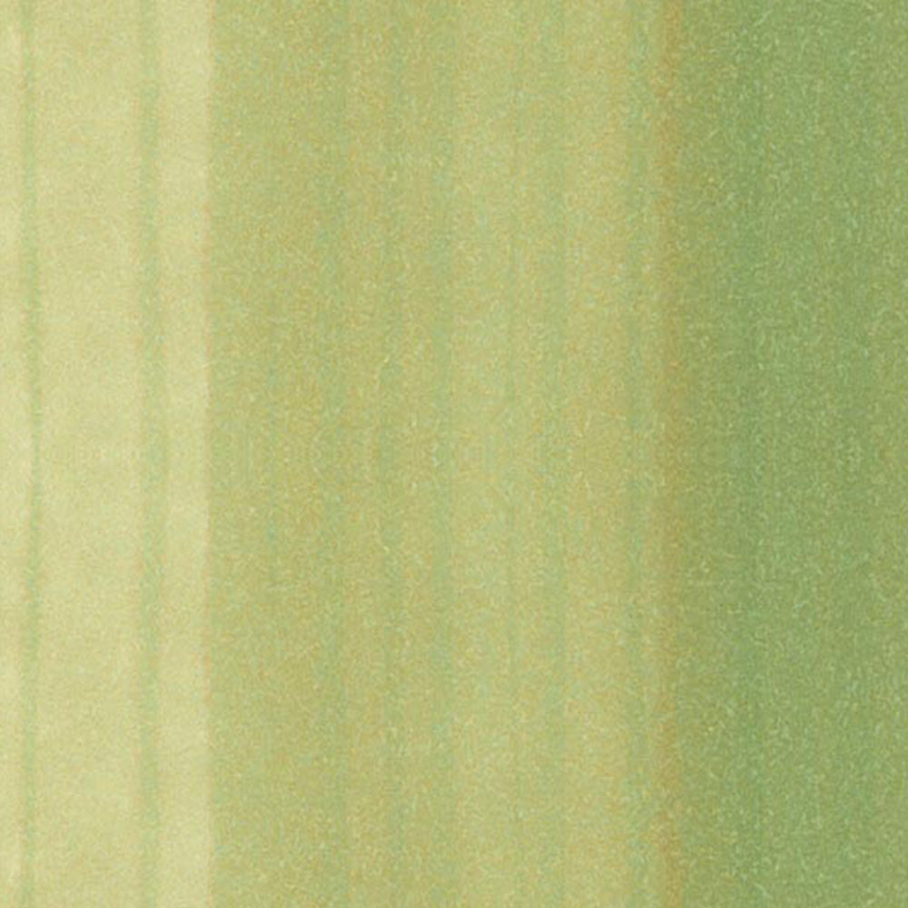 Copic Ciao Marker Spring Dim Green G82