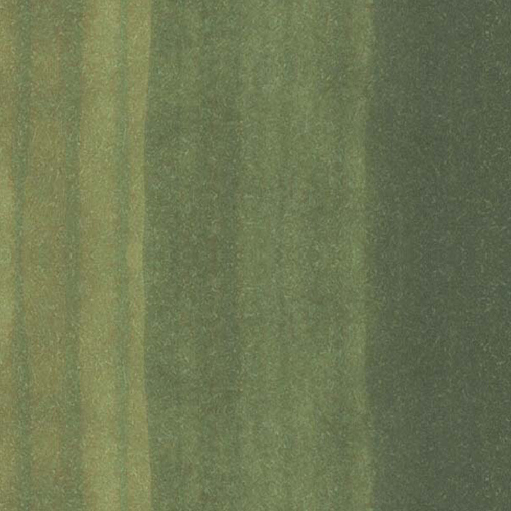 Copic Ciao Marker Olive G99