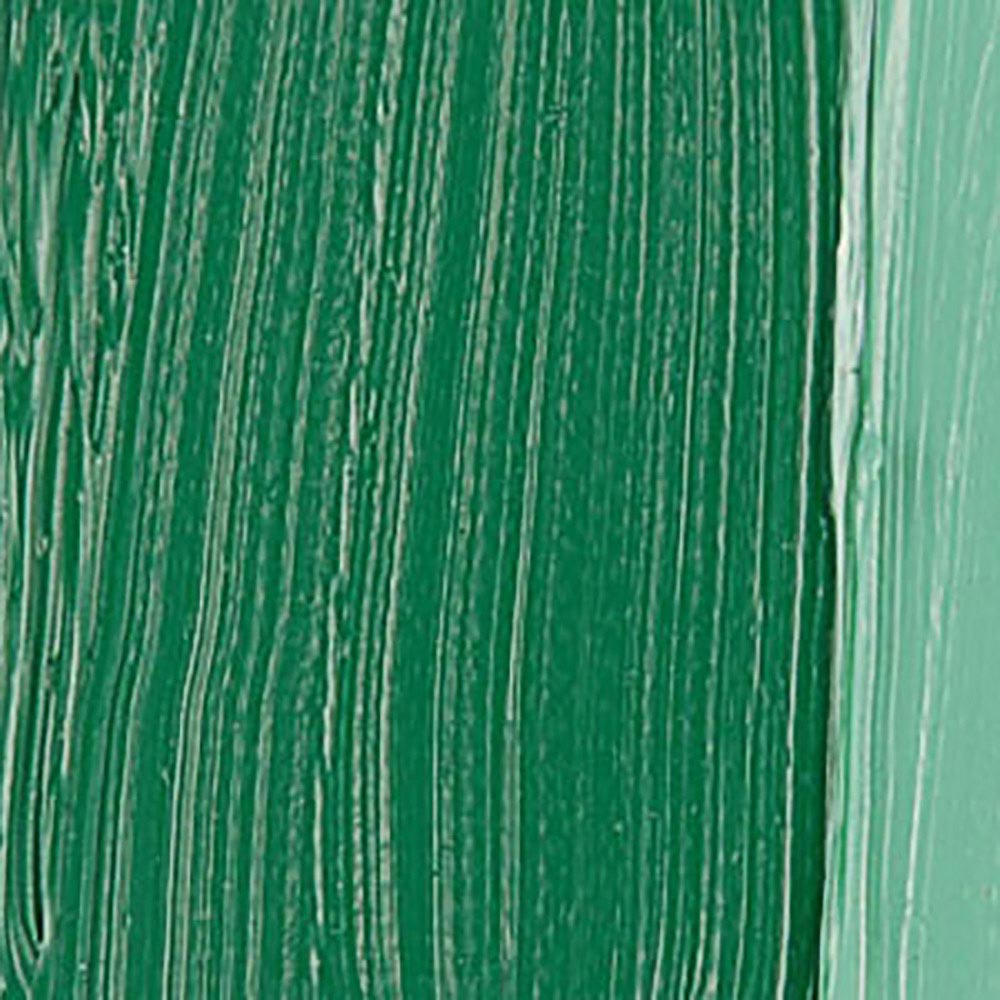 Talens Van Gogh Yağlı Boya 40ml Permanent Green Deep 619 S.2