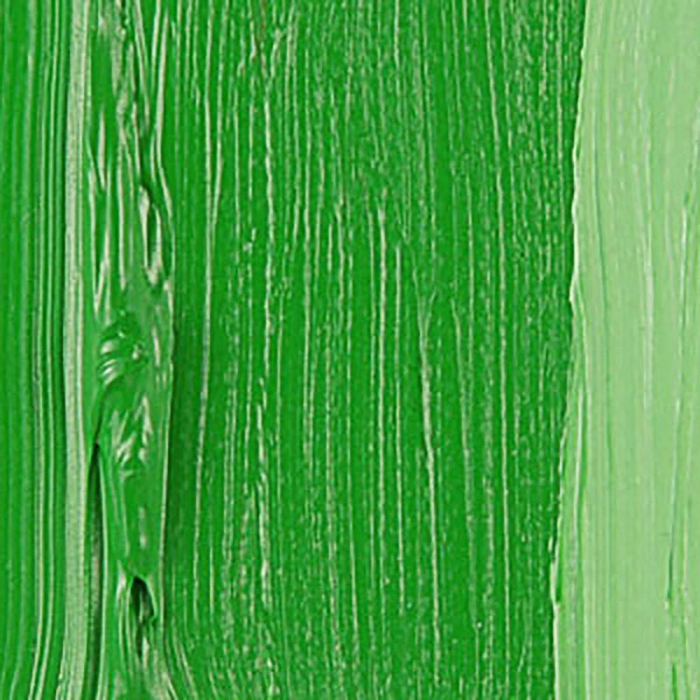 Talens Van Gogh Yağlı Boya 200ml Permanent Green Medium 614 S.1