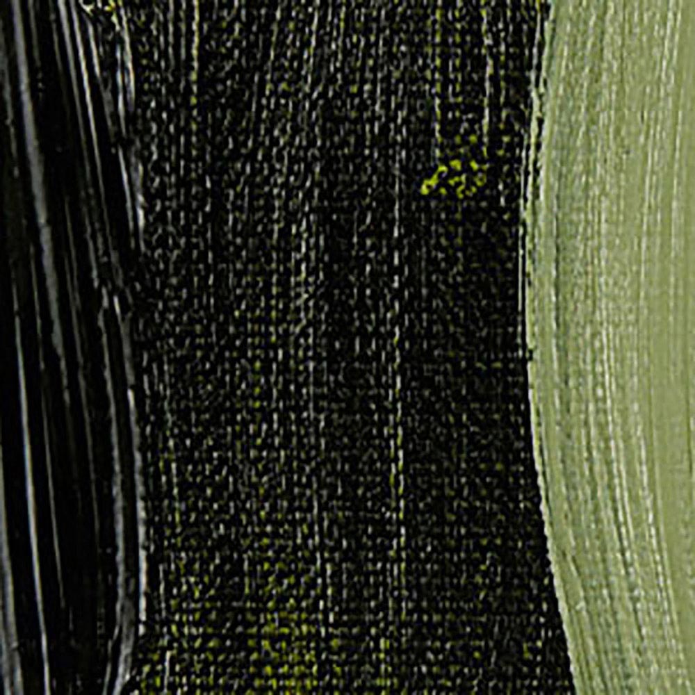 Talens Van Gogh Yağlı Boya 200ml Olive Green 620 S.2