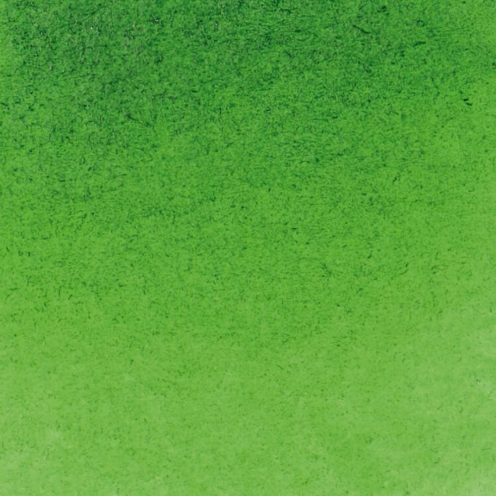 Schmincke Horadam Aquarell Sap Green 530 S.2 (Tam Tablet)