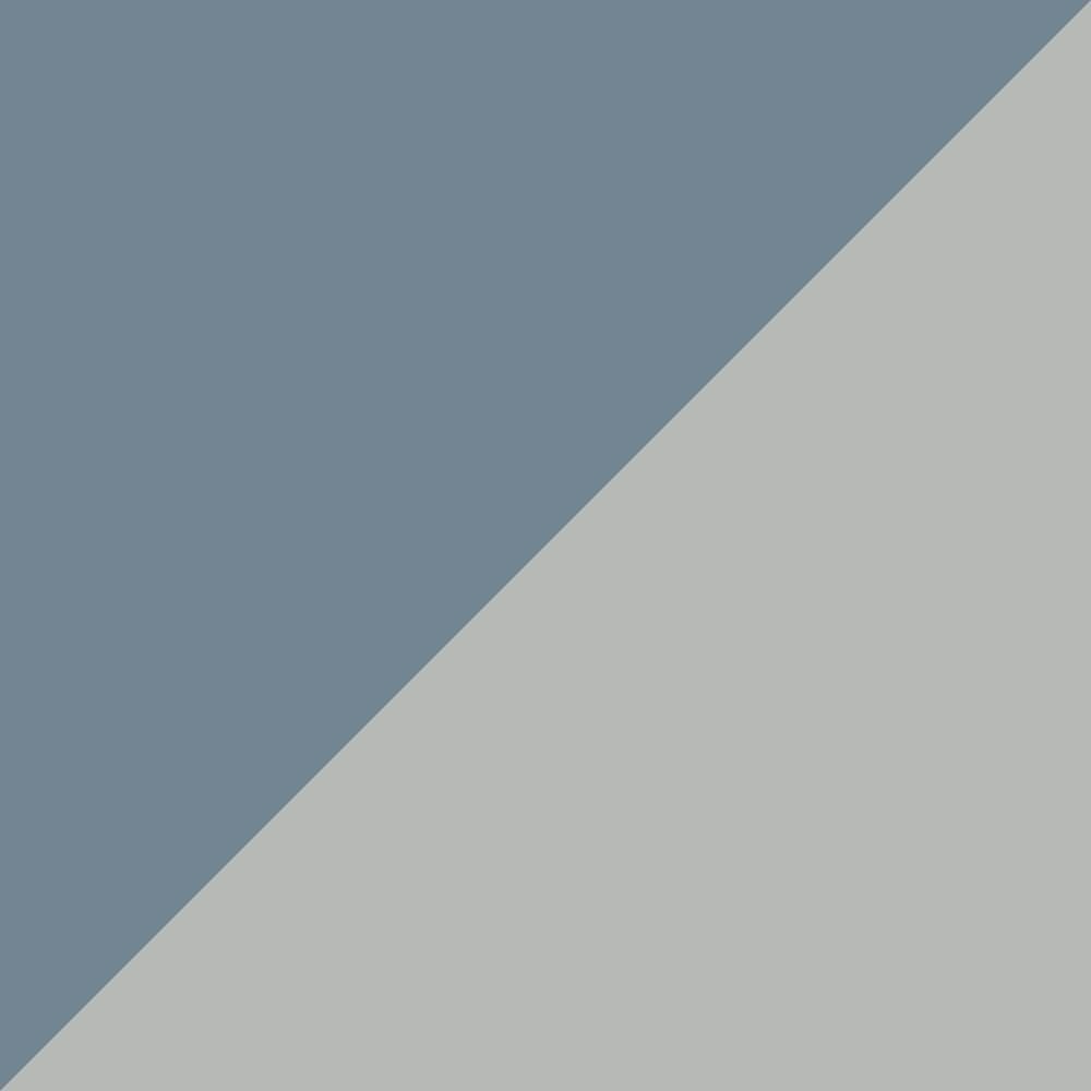 Sennelier Oil Stick Light Grey 38ml