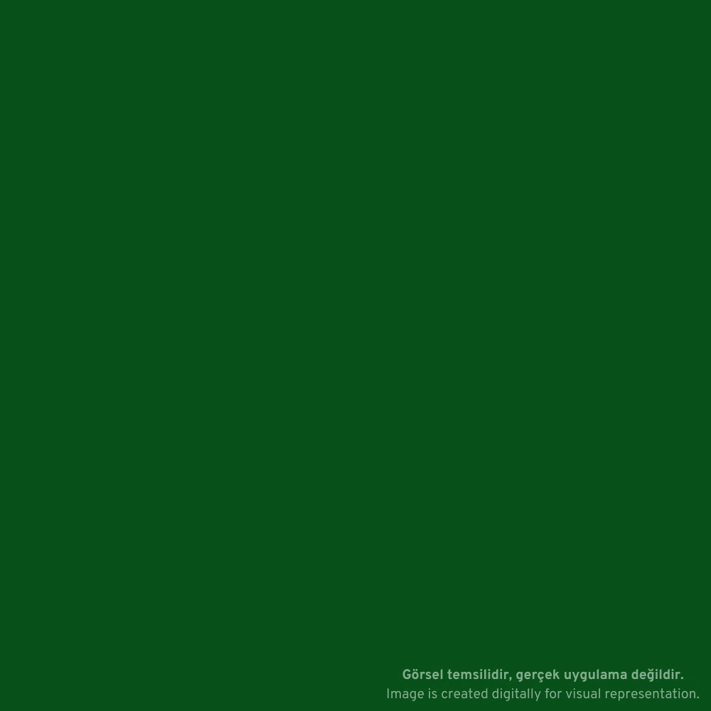 Jacquard Neopaque Akrilik Boya 66ml Green 587