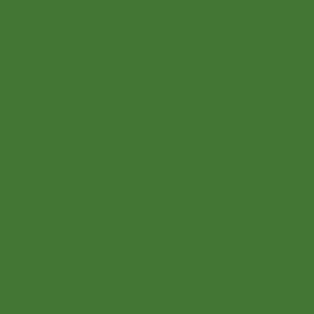 Jacquard iDye 14gr Kelly Green 421