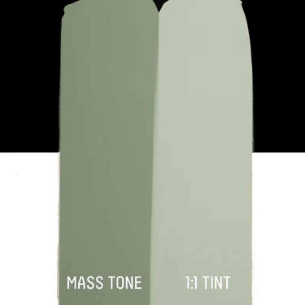 Liquitex Basics Akrilik Boya 118ml Green Gray 205