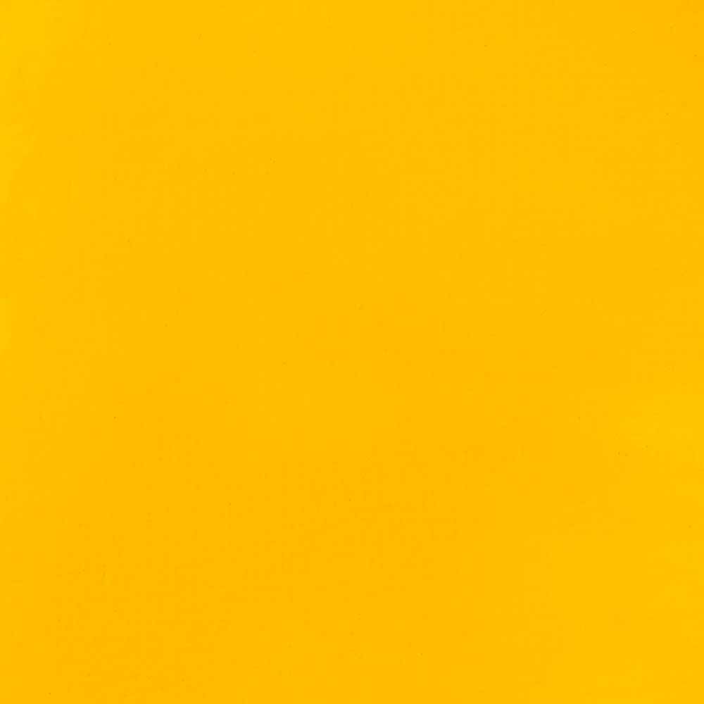 Liquitex Basics Akrilik Boya 946ml Primary Yellow 410