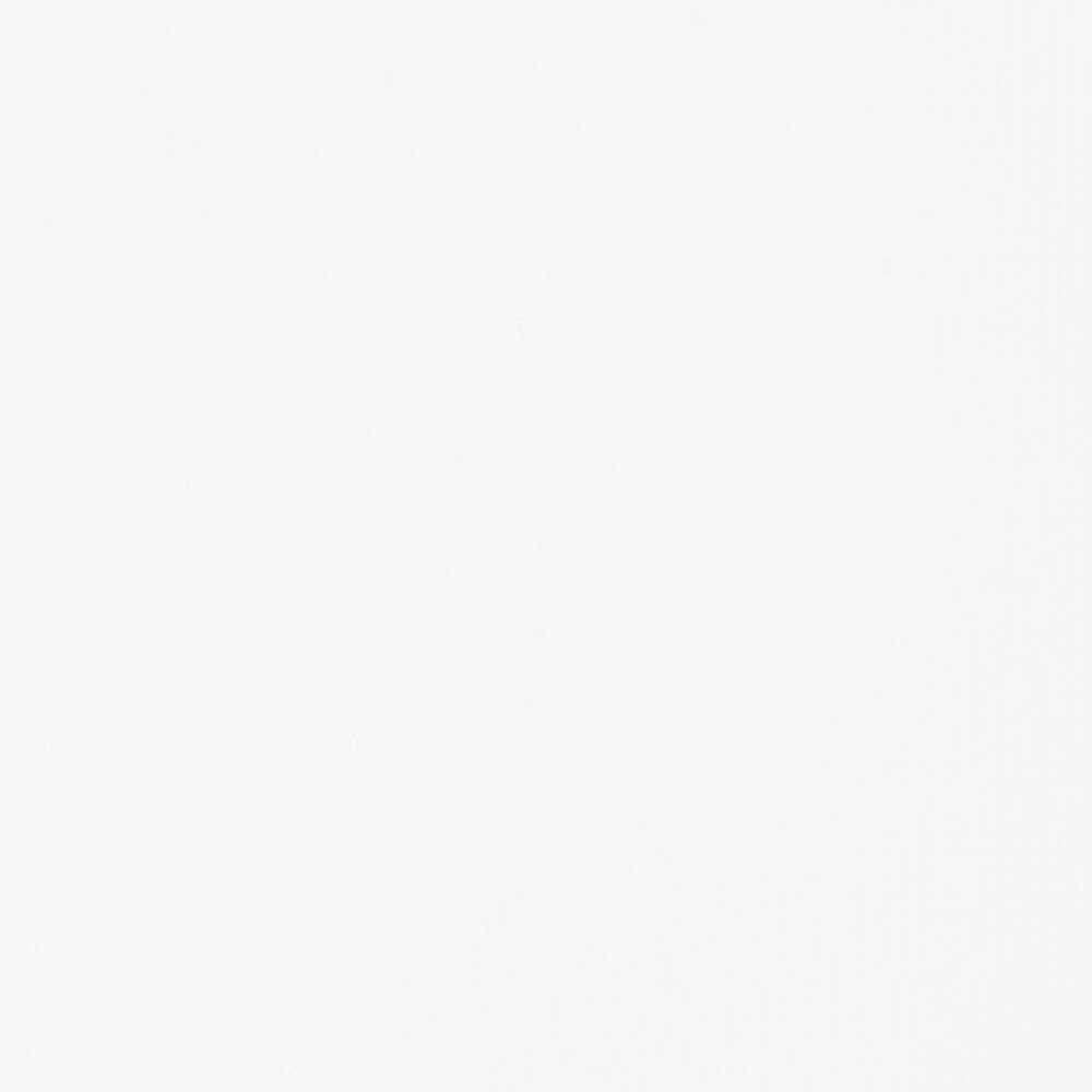 Liquitex Basics Akrilik Boya 946ml Titanium White 432