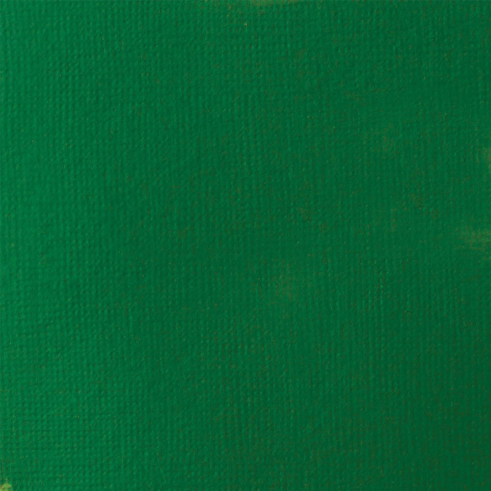 Liquitex Basics Fluid Akrilik Boya 118ml Hooker's Green Permanent Hue 224