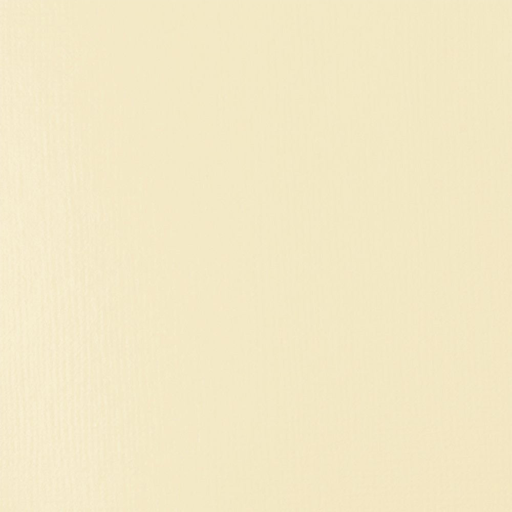 Liquitex Basics Fluid Akrilik Boya 118ml Unbleached Titanium 434