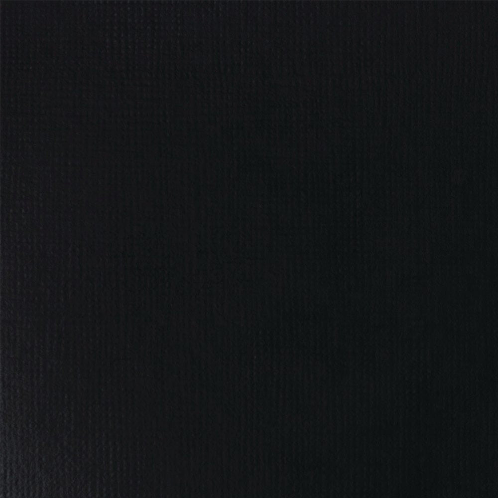 Liquitex Basics Fluid Akrilik Boya 250ml Mars Black 276