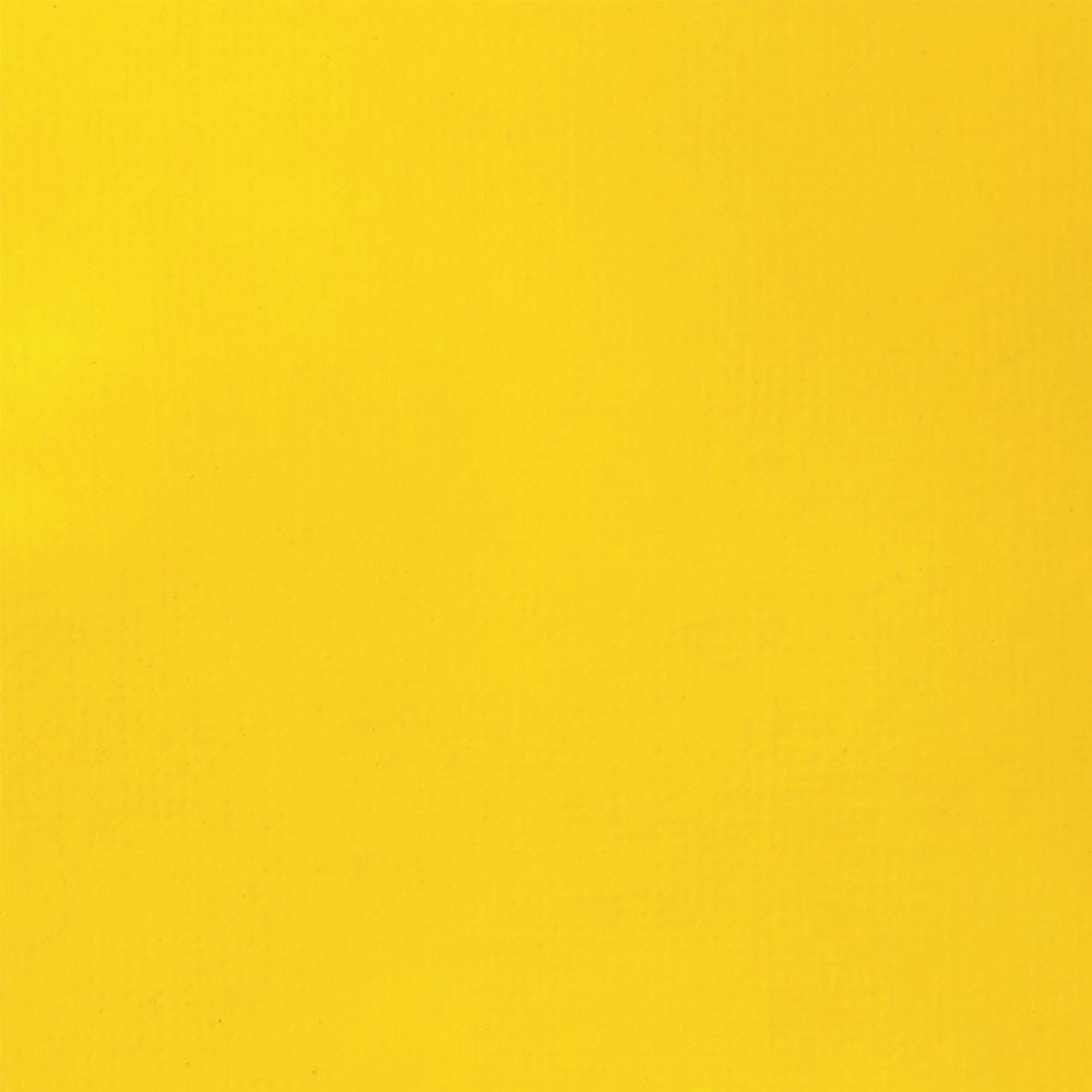 Liquitex Basics Fluid Akrilik Boya 250ml Cadmium Yellow Medium Hue 830