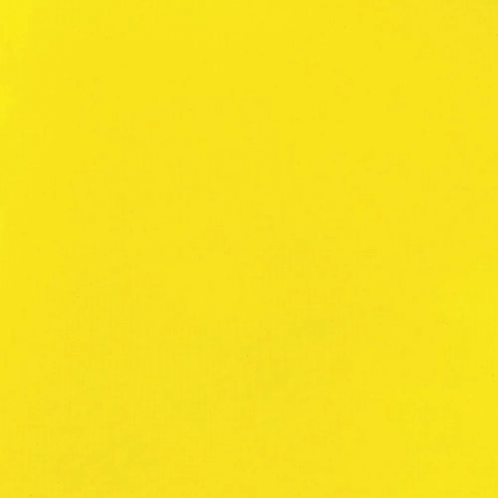 Liquitex Basics Akrilik Boya 22ml Primary Yellow 410