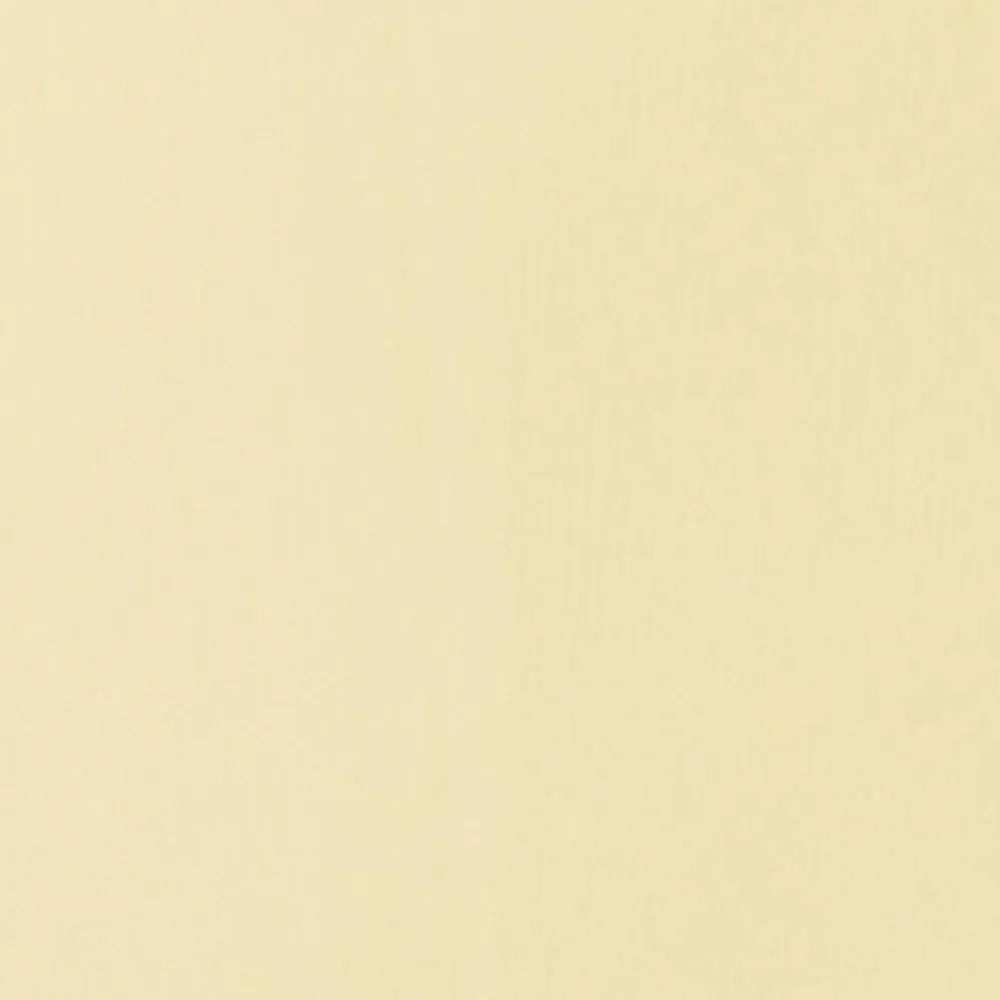 Liquitex Basics Akrilik Boya 22ml Parchment 436