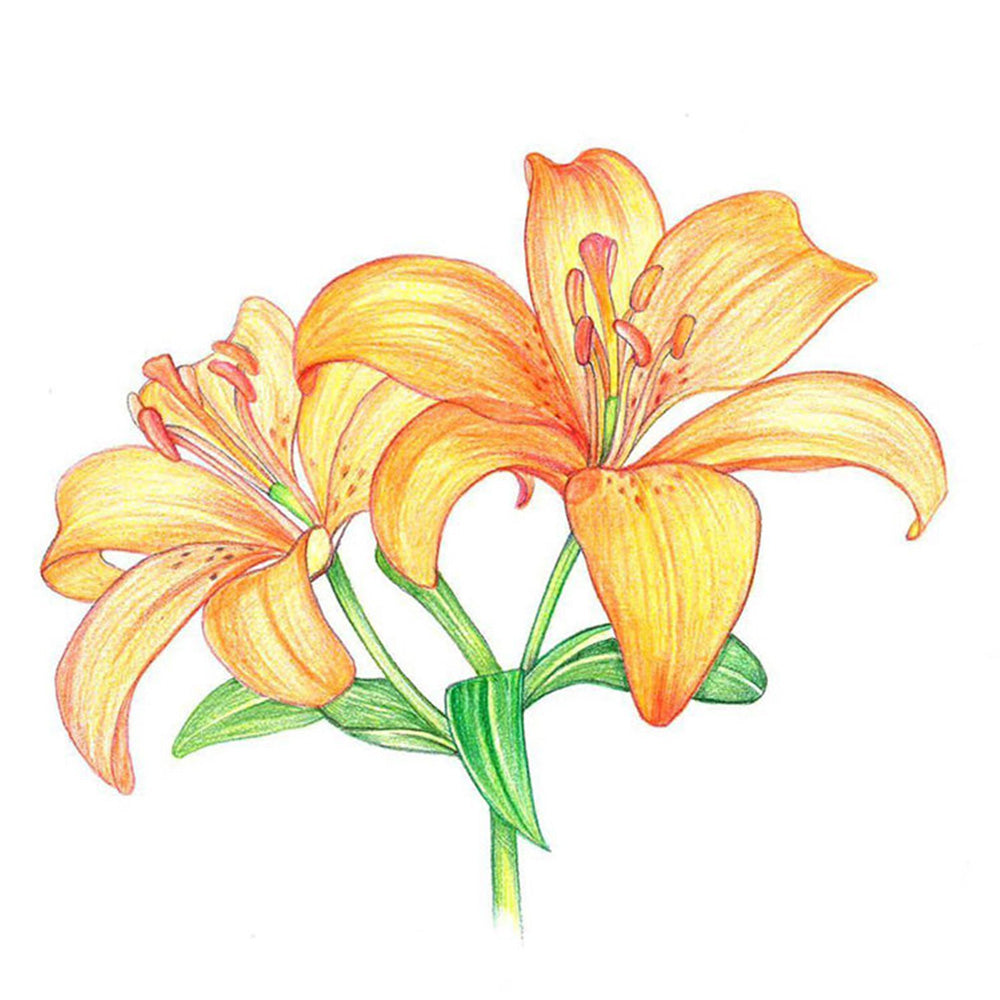 Tombow IROJITEN Boya Kalemi Iris Violet