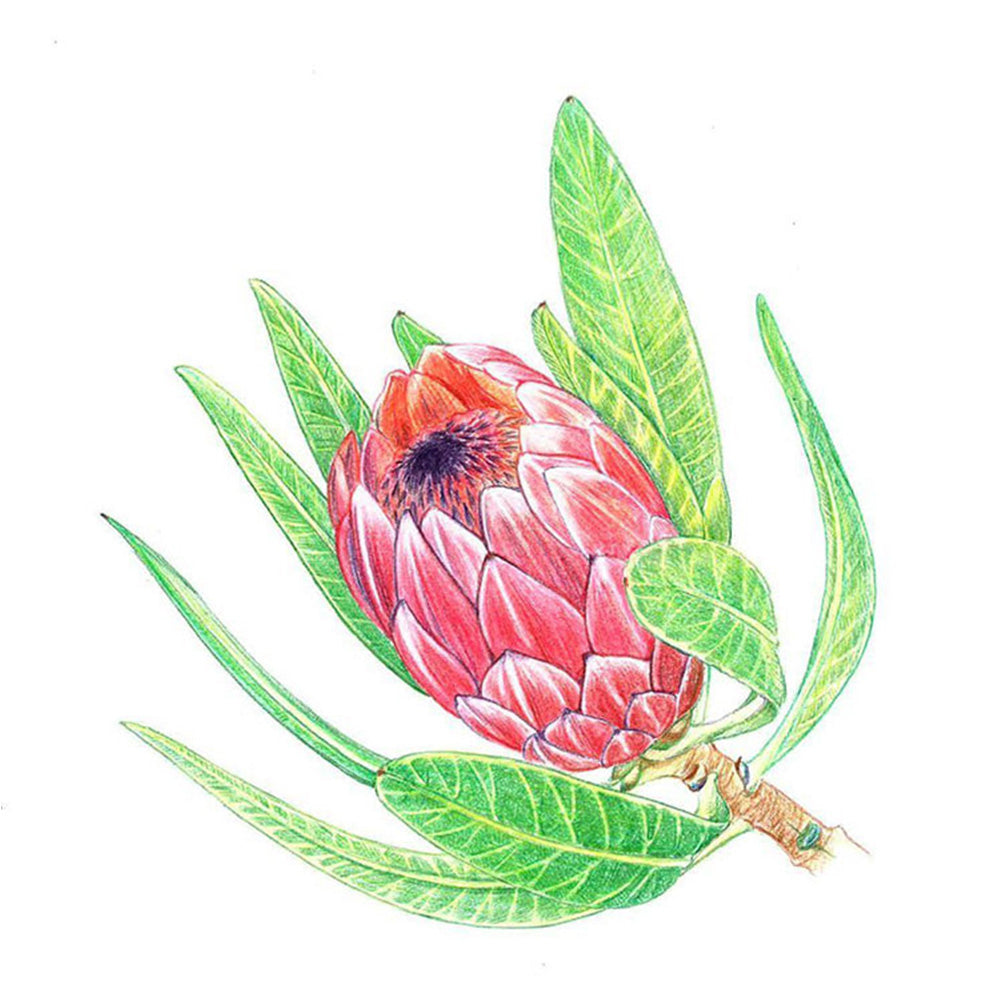 Tombow IROJITEN Boya Kalemi Asparagus