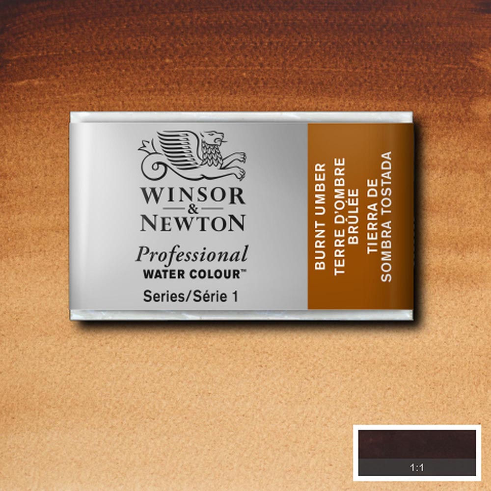 Winsor & Newton Professional Sulu Boya Burnt Umber 076 S.1 (Tam Tablet)