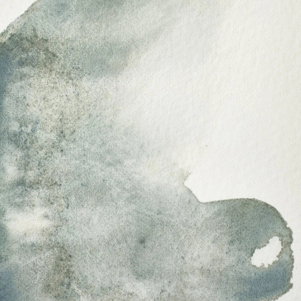 Winsor & Newton Professional Sulu Boya Yarım Tablet Mineral Grey S.1