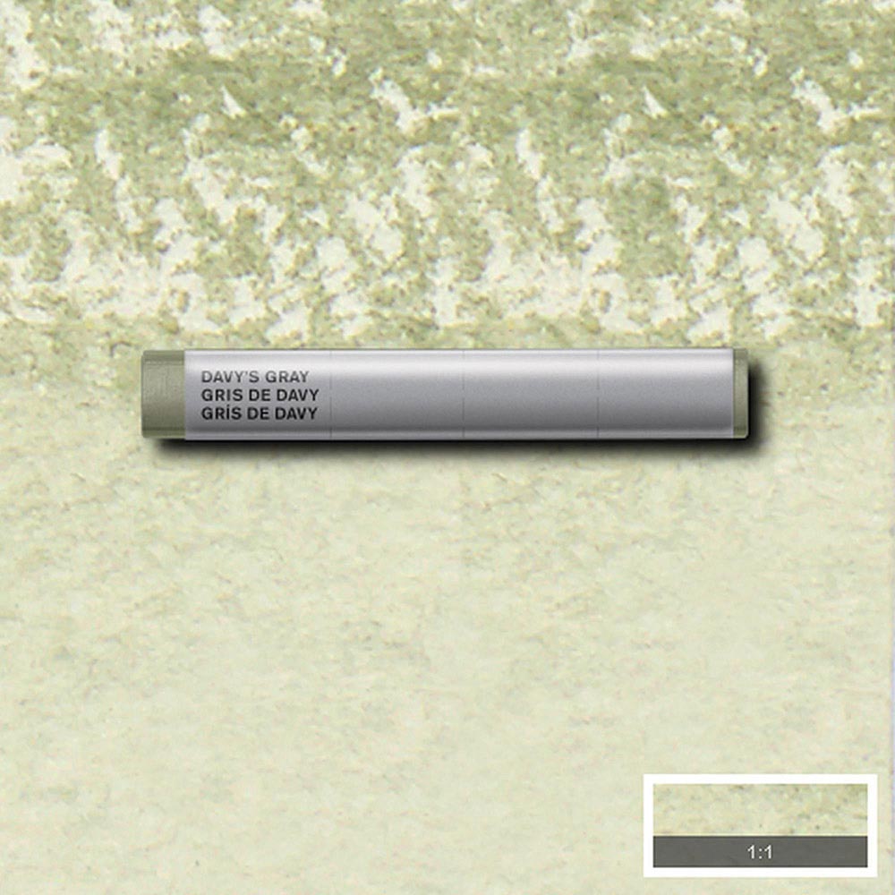 Winsor & Newton Professional Sulu Boya Stick Davy's Gray 217 S.1