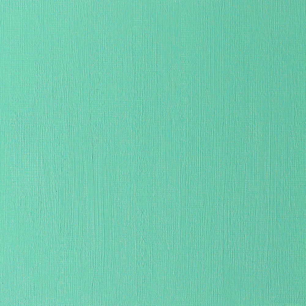Winsor & Newton Artists' Yağlı Boya 37ml Permanent Green 481 S.2