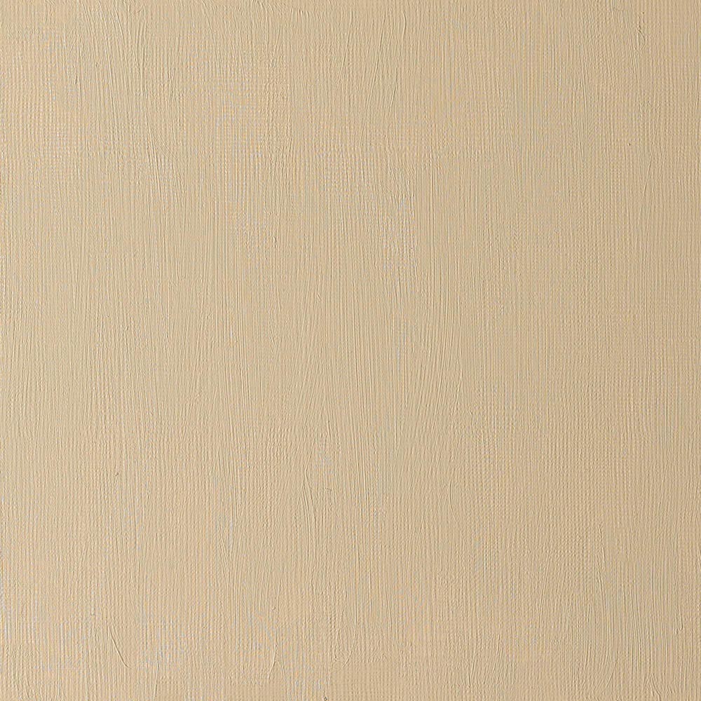 Winsor & Newton Artists' Yağlı Boya 37ml Raw Umber Light 557 S.1