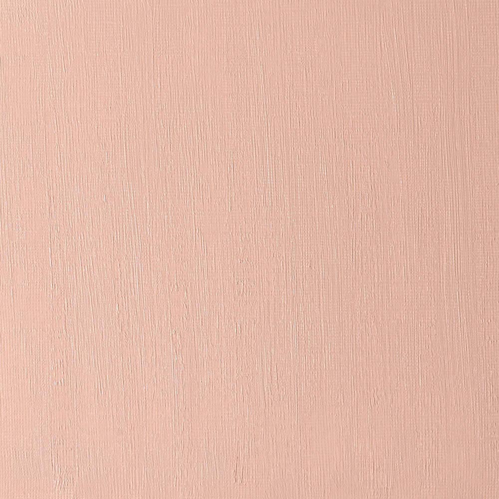 Winsor & Newton Artists' Yağlı Boya 37ml Transparent Red Ochre 647 S.1