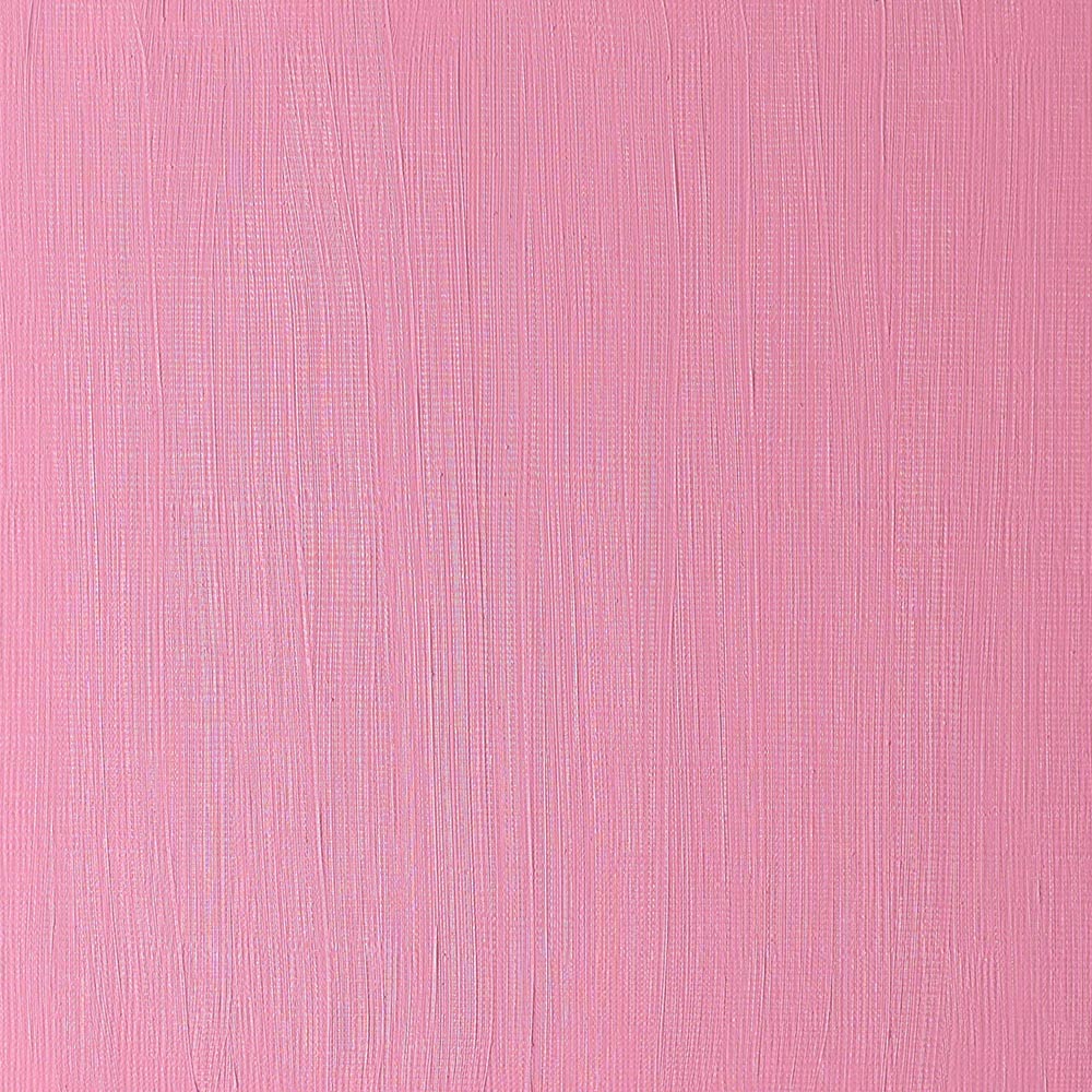 Winsor & Newton Winton Yağlı Boya 37ml Permanent Crimson Lake 478