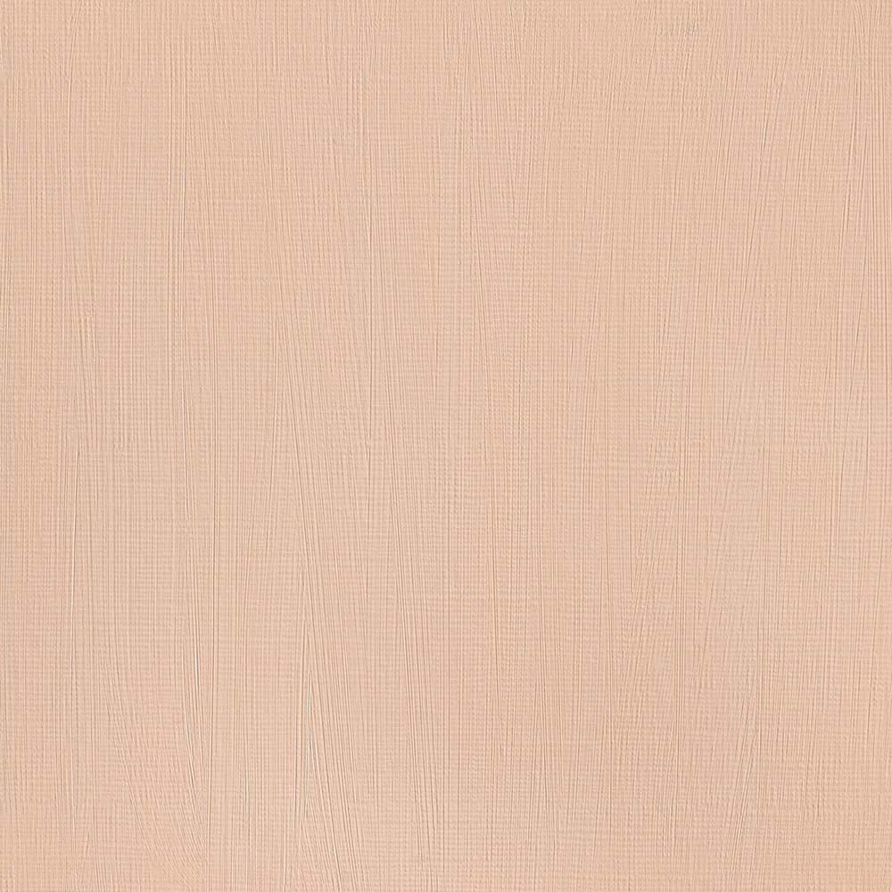 Winsor & Newton Professional Acrylic 60ml Burnt Sienna 074 S.1