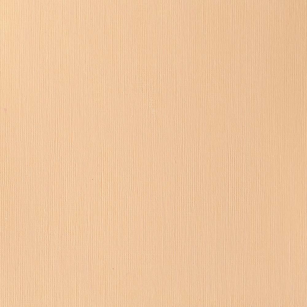 Winsor & Newton Professional Acrylic 60ml Cadmium Orange 089 S.3