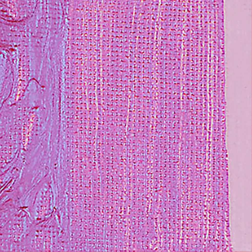 Pebeo Acrylic Studio 500ml Iridescent Violet Blue(Dyna) 356