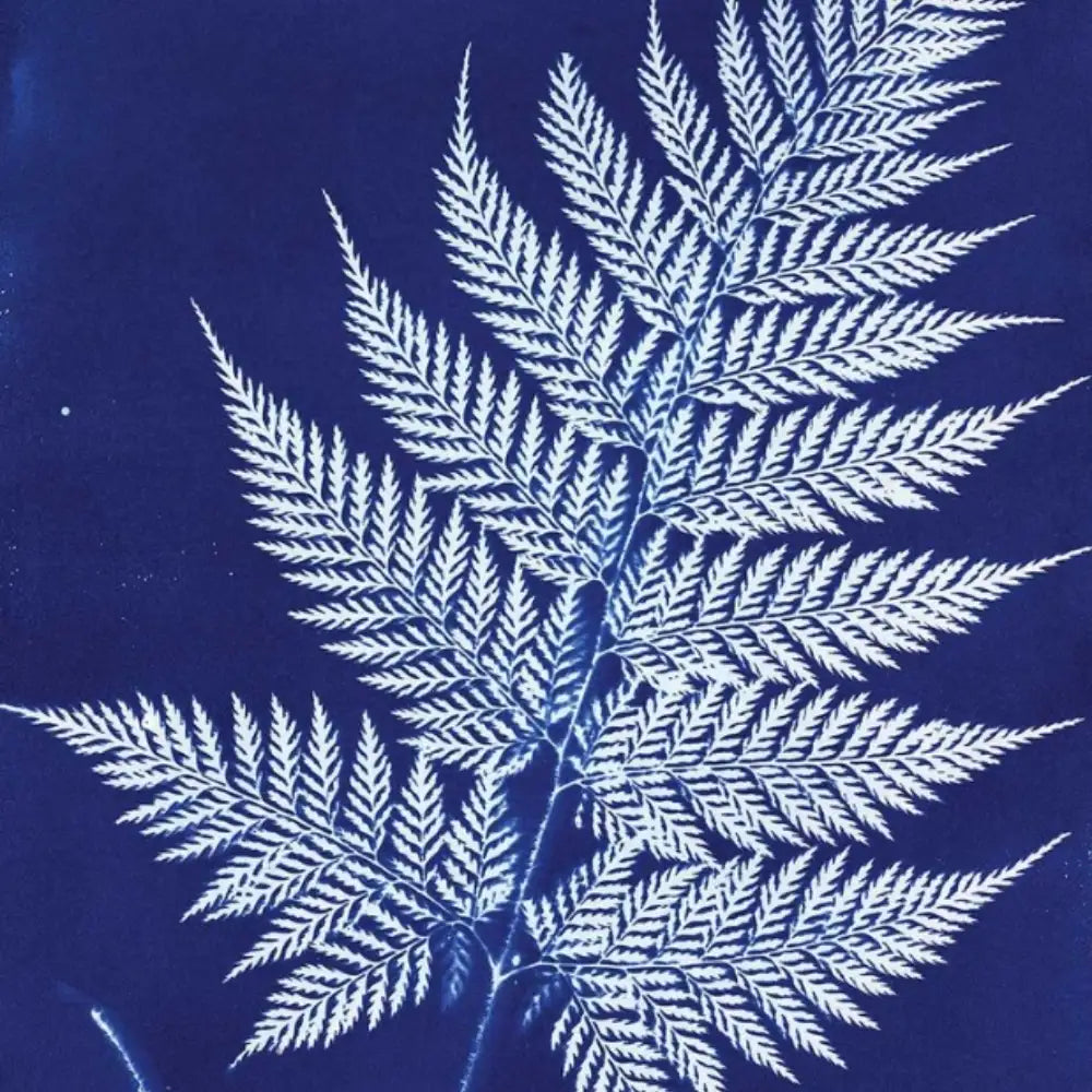 Jacquard Cyanotype Set (2'li)