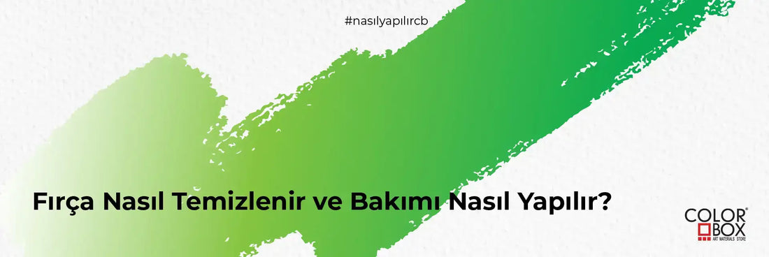 Fırça Nasıl Temizlenir ve Bakımı Nasıl Yapılır?