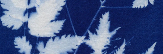 Cyanotype (Mavi Baskı) Nasıl Yapılır?