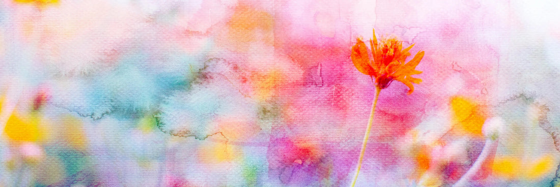 Sulu Boya Neden Çamurlaşır? Temiz Renk Elde Etmenin Yolları