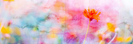 Sulu Boya Neden Çamurlaşır? Temiz Renk Elde Etmenin Yolları