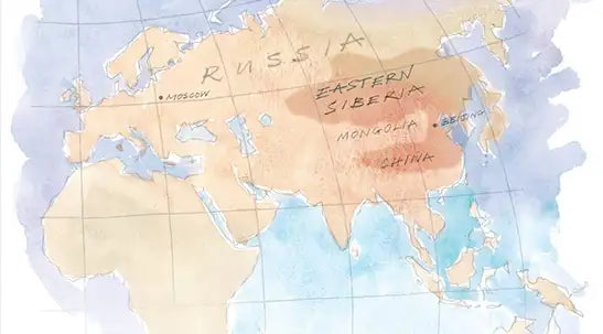 Dünyanın En İyisi