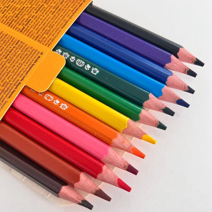 Bic Evolution Üçgen Jumbo Boya Kalemi 12'li