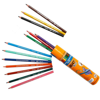 Bic Evolution Kuru Boya Kalemi 12+1(Metal Tüp)