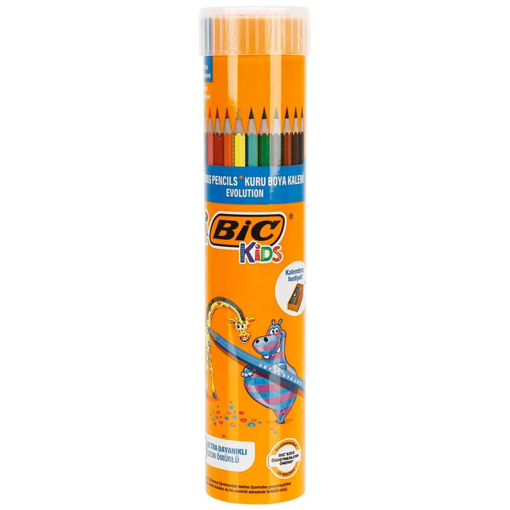 Bic Evolution Kuru Boya Kalemi 12+1(Metal Tüp)