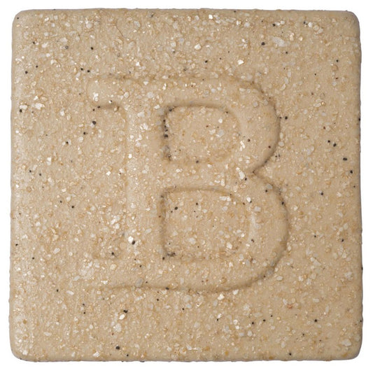 Botz Sır Boyası 200ml Sand N:9132